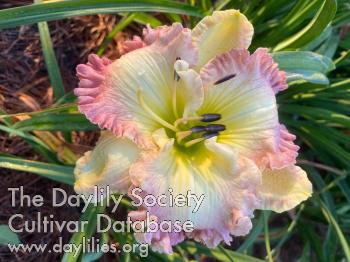 Mary_Katherine_Davidson_1767150966